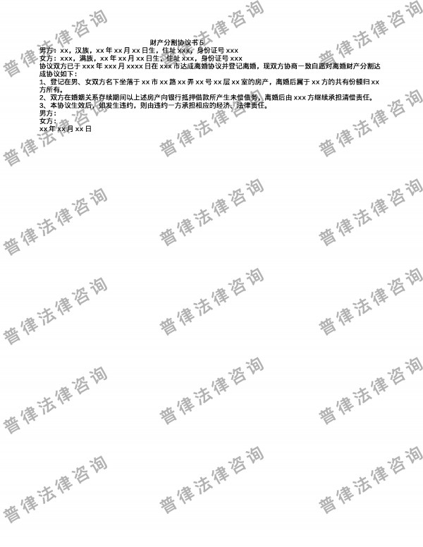 财产分割协议书5