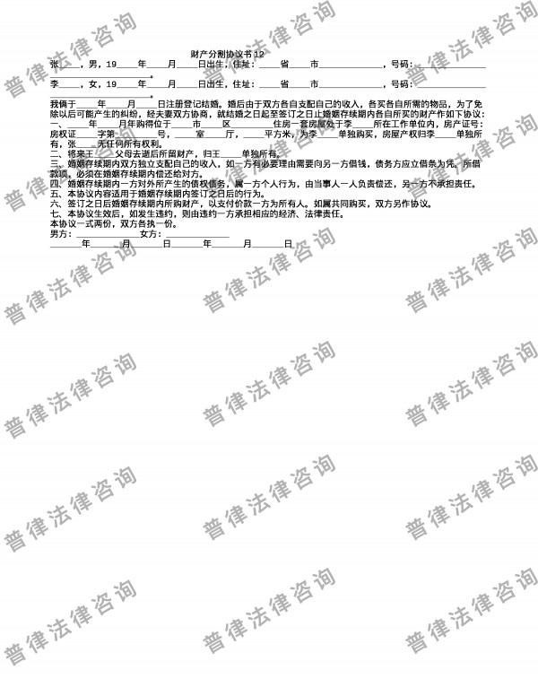 财产分割协议书12