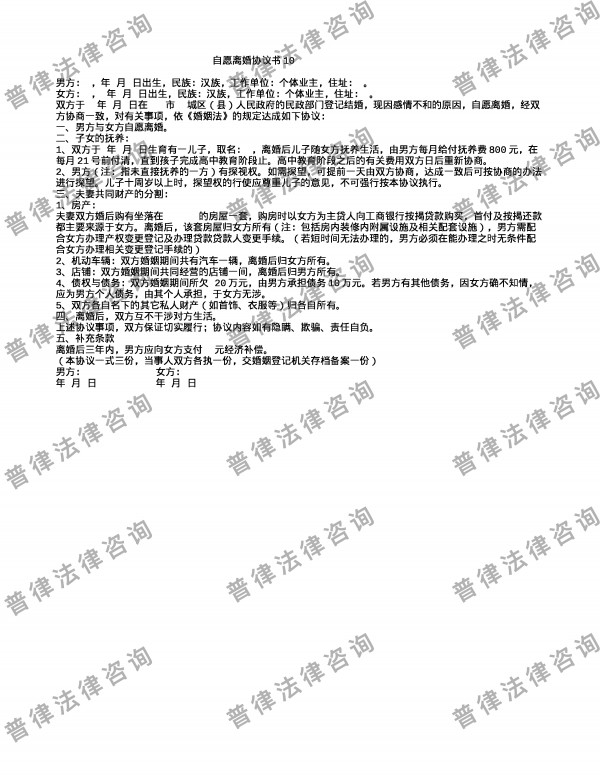 自愿离婚协议书10