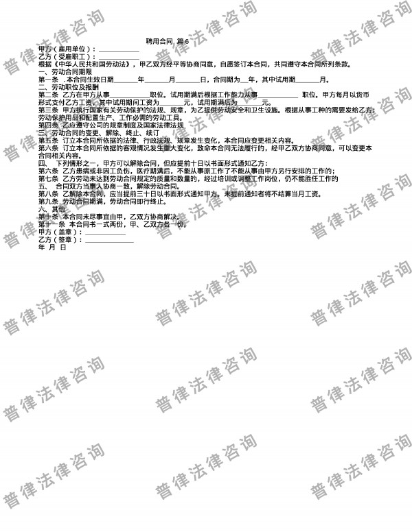聘用合同 篇6