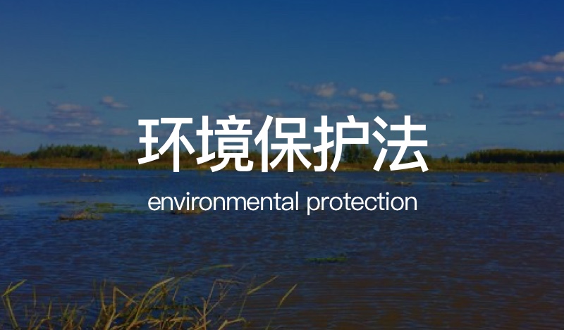 环境保护行政复议受理程序